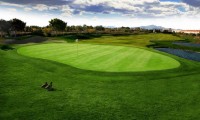 alicante golf course